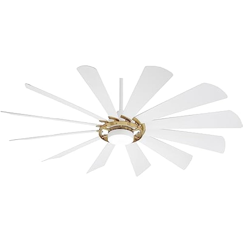 31mvjfn nwl. ac us800 .jpg