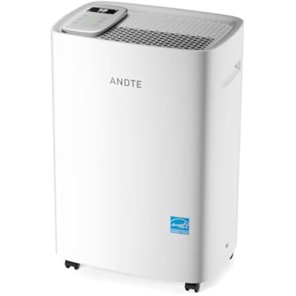 31lclt4olkl. ac us800 .jpg