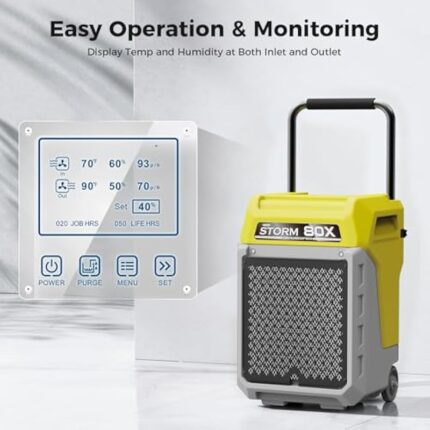 41i5lh9oel. ac us800 .jpg