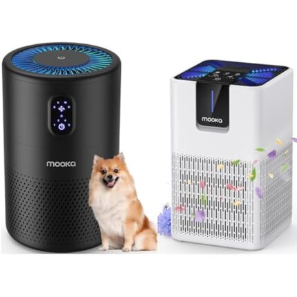 41tpk8boztl. ac us800 .jpg