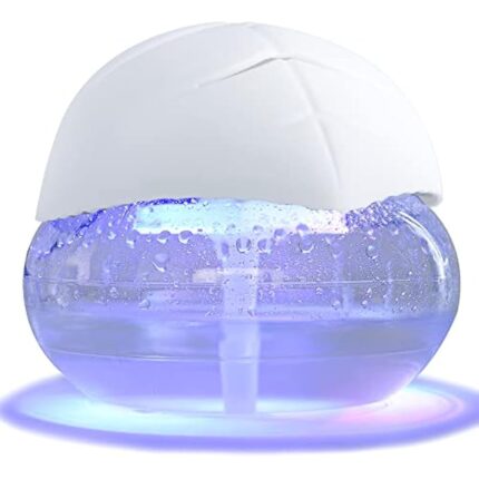 41deaw4eozl. ac us800 .jpg