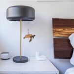 41gqe6khmsl. ac us800 .jpg