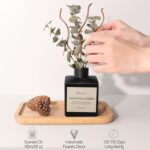 41inxu3854l. ac us800 .jpg