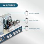 41ixmbqcdjl. ac us800 .jpg