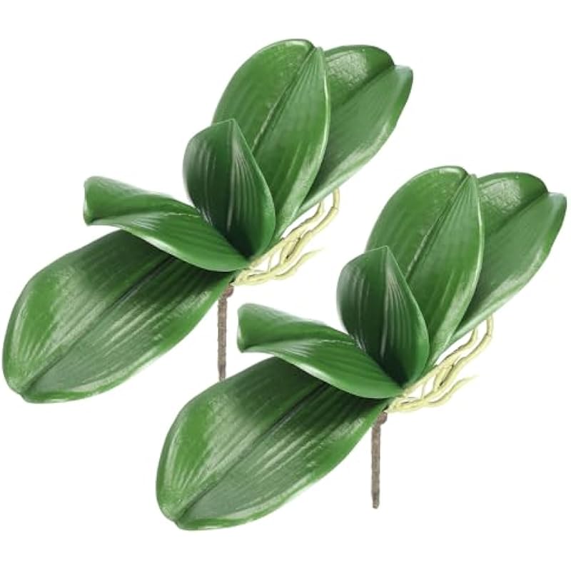 41ngovnyljl. ac us800 .jpg