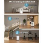 41pwvwbsz9l. ac us800 .jpg