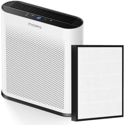 511ibpgai4l. ac us800 .jpg