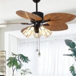 5161iaghiol. ac us800 .jpg