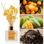 51johhaw18l. ac us800 .jpg