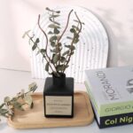 51rzok58ktl. ac us800 .jpg