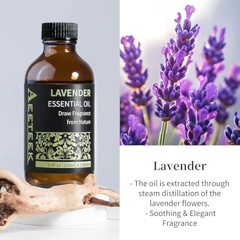 51ukicxcfbl. ac us800 .jpg