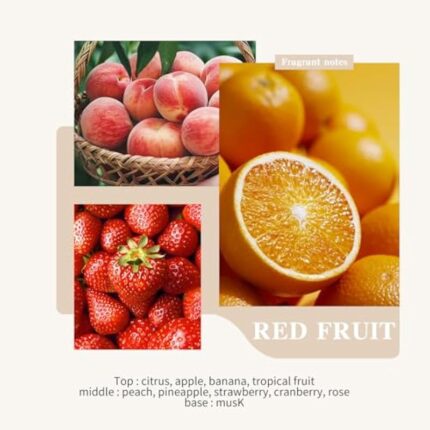 51wkxnb53sl. ac us800 .jpg