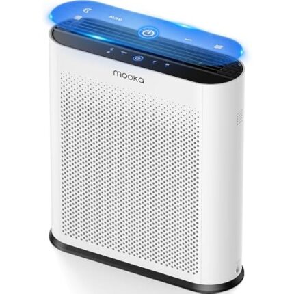 51xb6alzojl. ac us800 .jpg