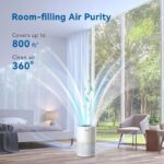 51iwtvqq fl. ac us800 .jpg