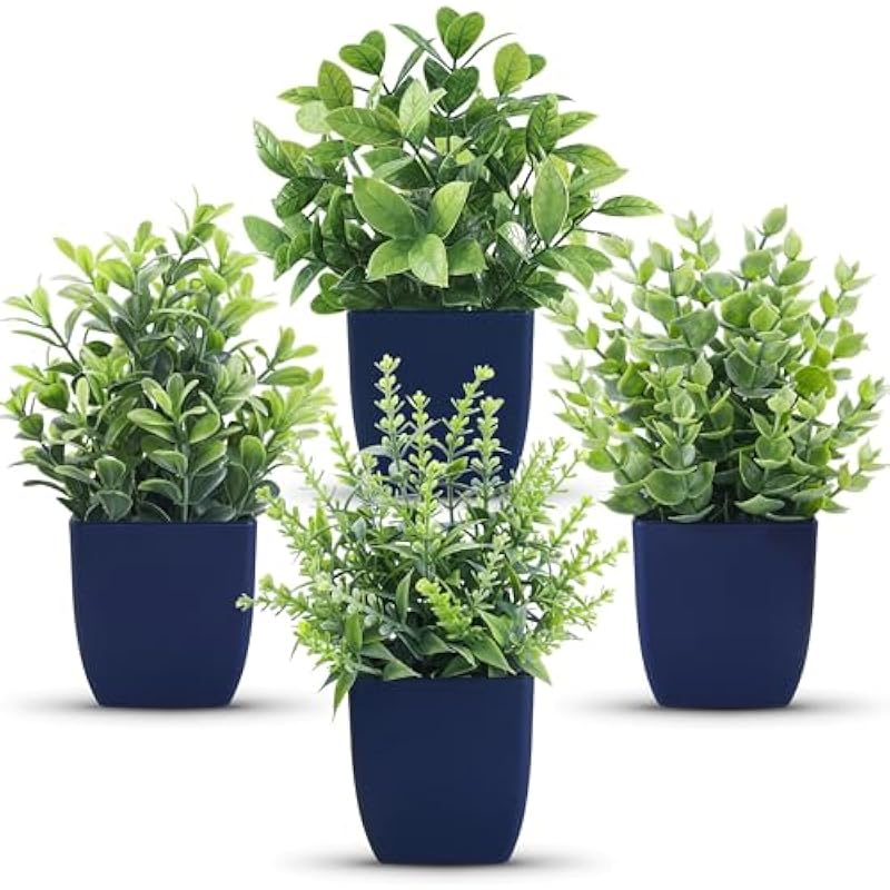 51mgoivc51l. ac us800 .jpg