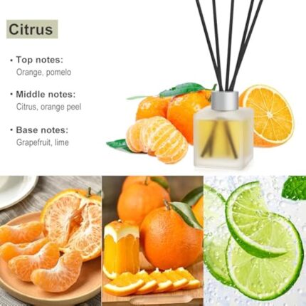 51mozspp6l. ac us800 .jpg