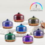 51qsrhzooml. ac us800 .jpg