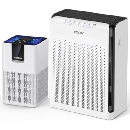 51uz0wv52il. ac us800 .jpg