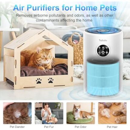 51xzwdkfswl. ac us800 .jpg