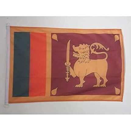 310569bj7ol. ac us800