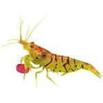 315lt9yxd9l. ac us800