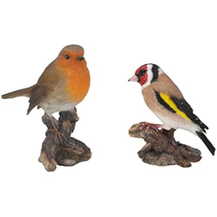 31ajojtznol. ac us800