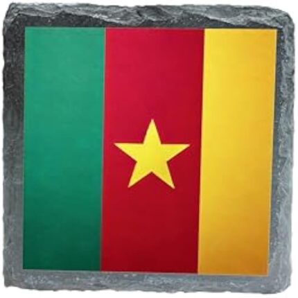 31bbvozewll. ac us800