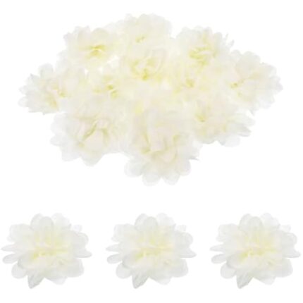 31drbm9aul. ac us800