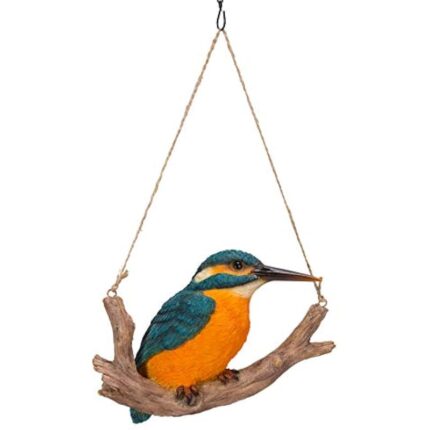 31g7olky8ol. ac us800