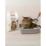 31hsqki06ll. ac us800