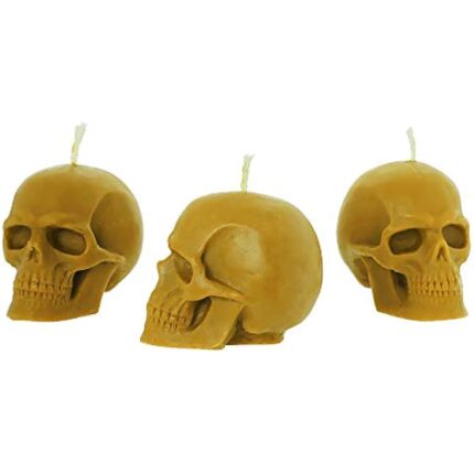 31ivdhc5fql. ac us800