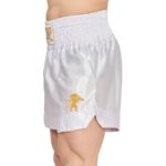 31o8peqhyl. ac us800