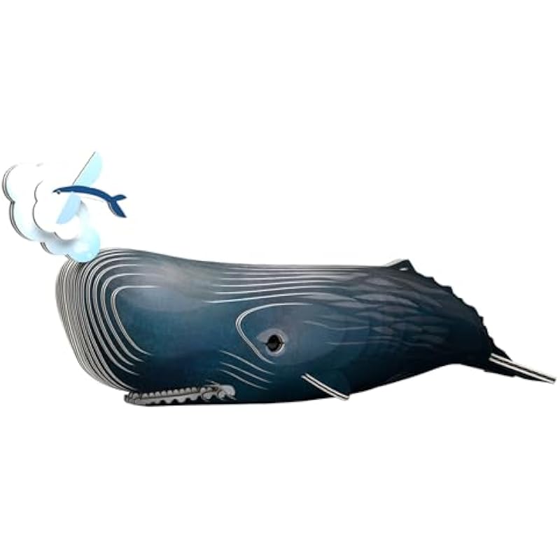 31ejbcp31ml. ac us800