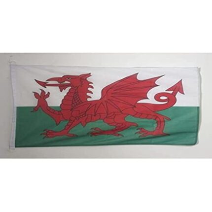 31iq5niseil. ac us800