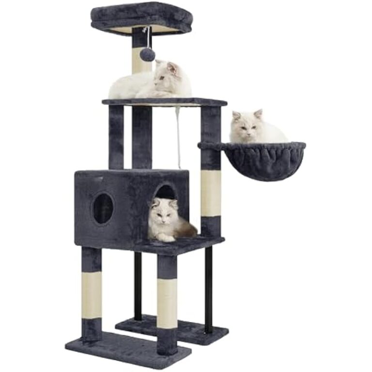 31uwqaojgzl. ac us800