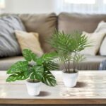 41 nv5g8e5l. ac us800