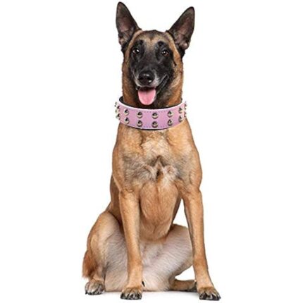 41 sdmz1gjl. ac us800