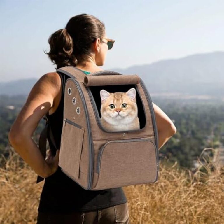 41 whjz2ql. ac us800