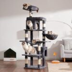 410vezw9xyl. ac us800