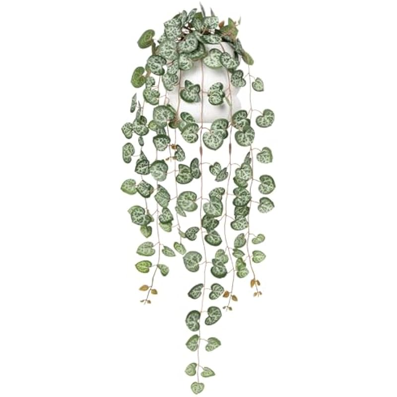 410zzcnzsl. ac us800