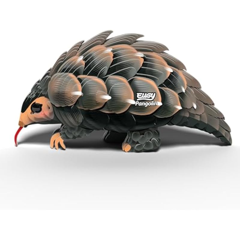 411weebstdl. ac us800