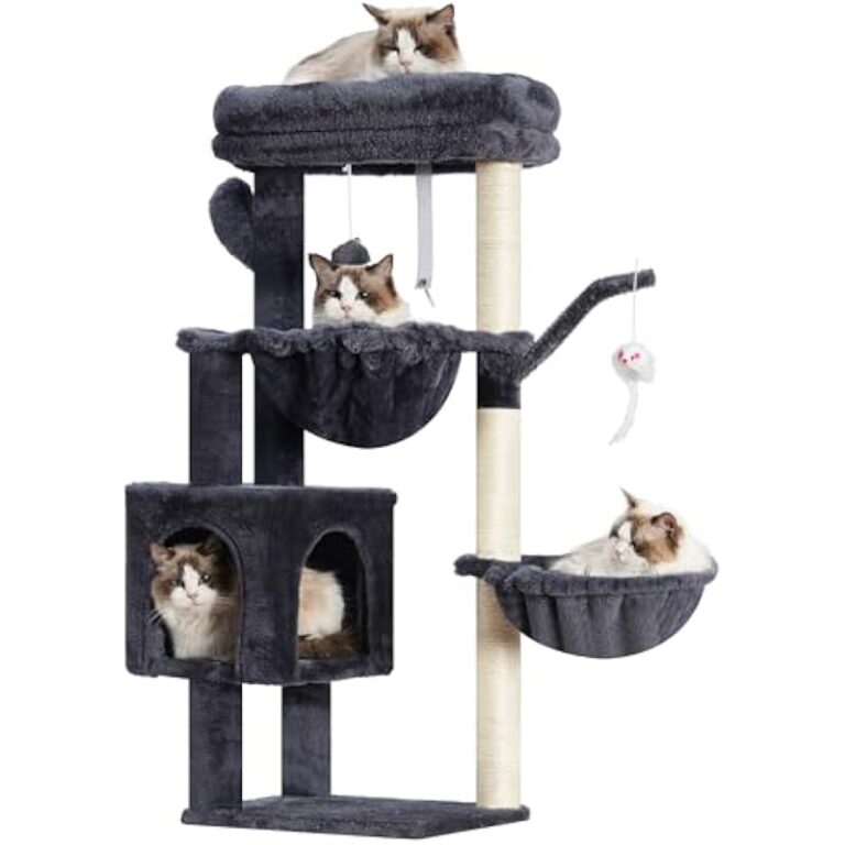 412ofhawchl. ac us800