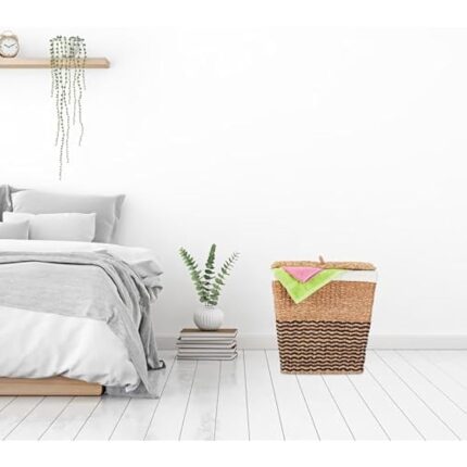 415wdfewfol. ac us800