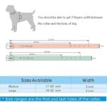 4164pai 9ml. ac us800