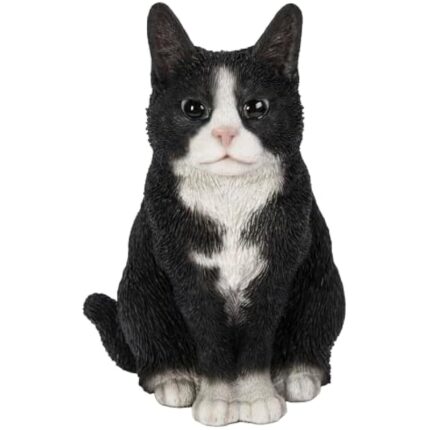 416dgrlgul. ac us800