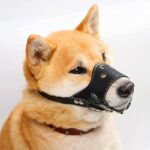 416jy4lyf4l. ac us800