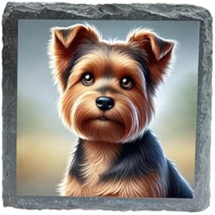 416lkixfvcl. ac us800