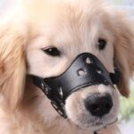 419jo81qyll. ac us800