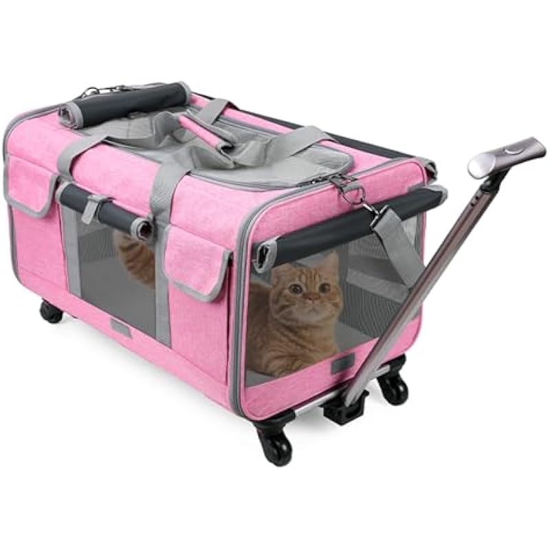 41aefqrkgsl. ac us800