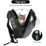 41bt7kzzt1l. ac us800